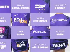 AYX SPORTS-广岛三箭球员名单