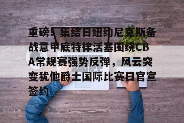 AYX SPORTS-纽约尼克斯vs底特律活塞